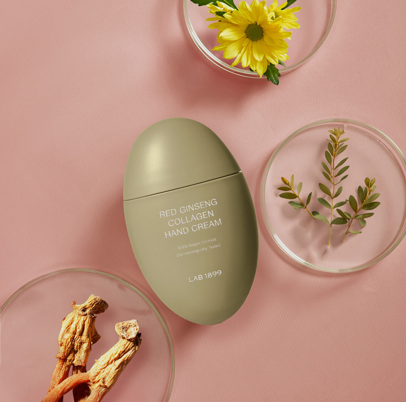 LAB 1899 Red Ginseng Collagen Hand Cream